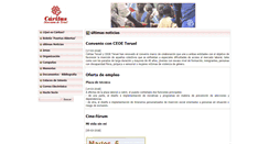 Desktop Screenshot of caritasteruel.org